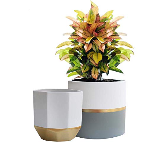 White Ceramic Flower Pot