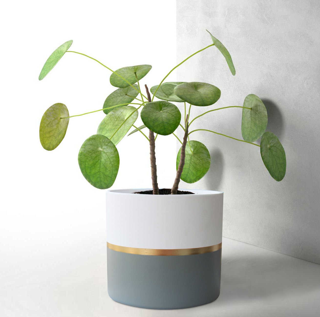 White Ceramic Flower Pot